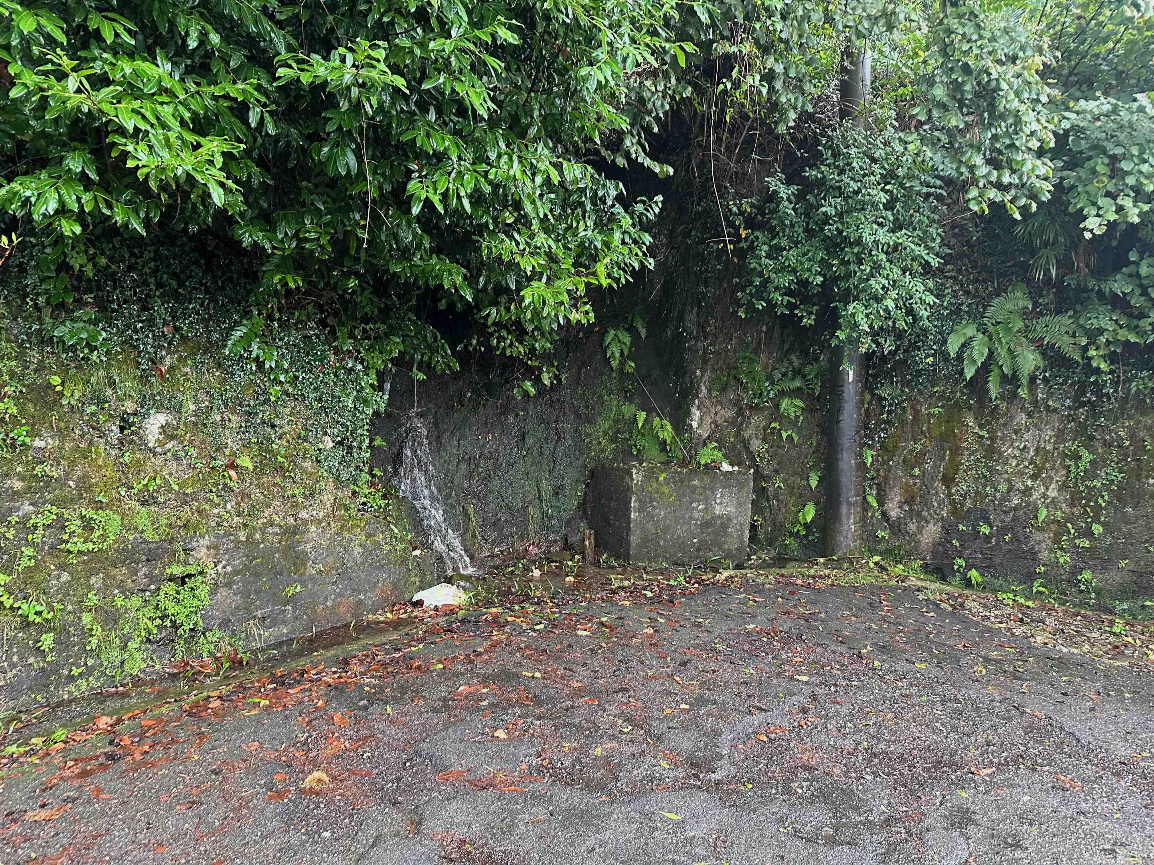 Driveway Waterfall