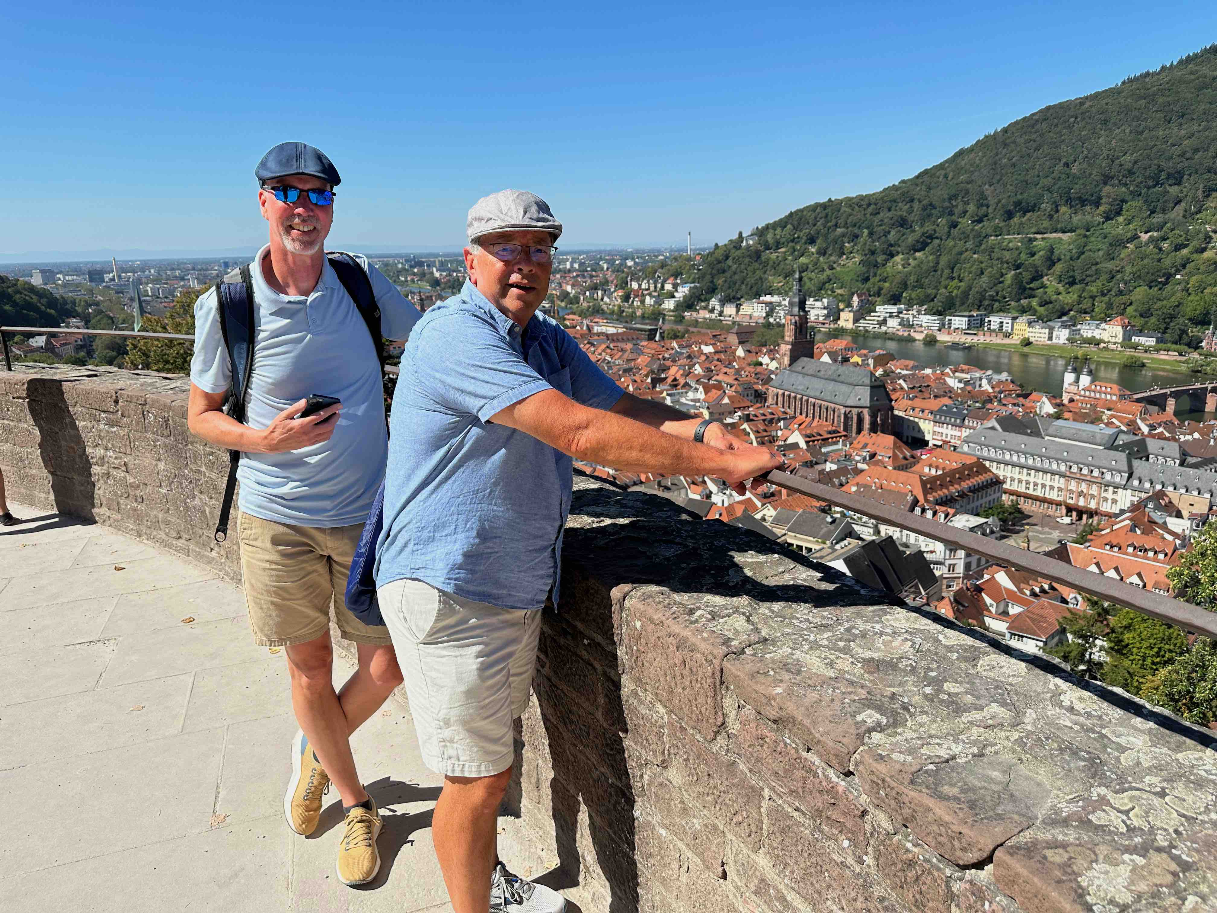 Heidelberg view